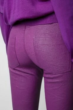 Zadig & Voltaire Phlame Crinkled Leather Pants Goa -Zadig & Voltaire Shop RWPA00001 GOA 5